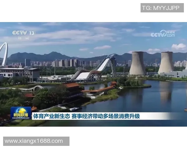 推动体育管理创新促进中国体育产业规范与可持续发展之路